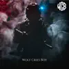 Wolf Cries Boy - Look Down - EP